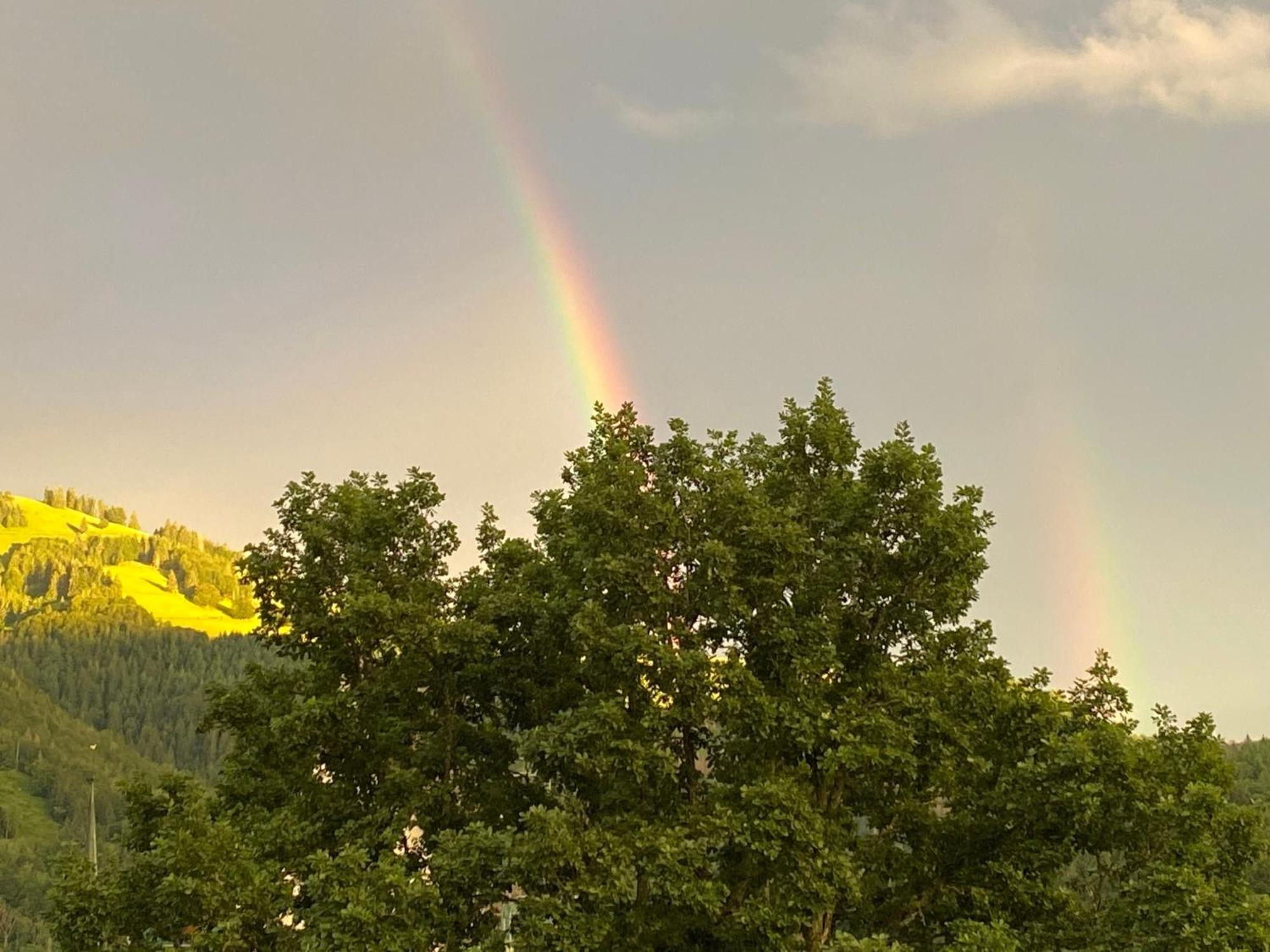 Ferienwohnung Schoenblick Schönau im Schwarzwald Eksteriør billede